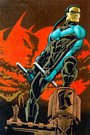 4 editions of Nightwing by 