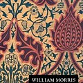 Cover Art for 9781138440043, News from Nowhere by William Morris