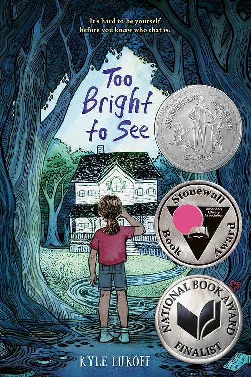 Cover Art for 9780593111178, Too Bright to See by Kyle Lukoff