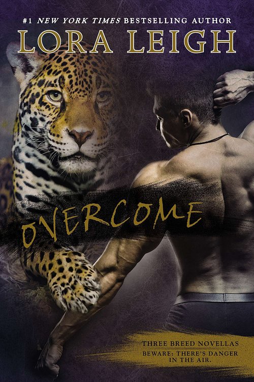 Cover Art for 9780425277737, Overcome by Lora Leigh