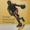 Cover Art for 9780133999310, Study Guide for Human Anatomy & Physiology by Elaine Marieb, Katja Hoehn