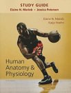 Cover Art for 9780133999310, Study Guide for Human Anatomy & Physiology by Elaine Marieb, Katja Hoehn