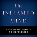 Cover Art for 9781250318145, The Inflamed Mind: A Radical New Approach to Depression by Edward Bullmore