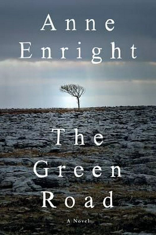 Cover Art for 9780393248210, Green RoadA Novel by Anne Enright