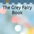 Cover Art for 9798629624899, The Grey Fairy Book by Andrew Lang