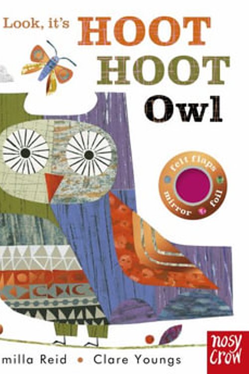 Cover Art for 9798887770154, Look, It's Hoot Hoot Owl by Camilla Reid