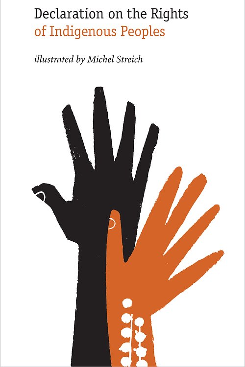 Cover Art for 9781741758450, Declaration on the Rights of Indigenous Peoples by Michel Streich