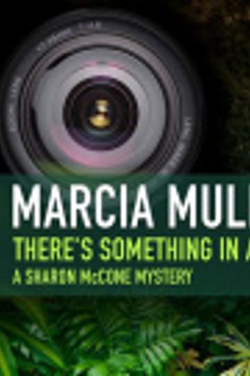 Cover Art for 9780792781400, There's Something in a Sunday by Laura Hicks