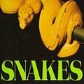 Cover Art for 9780618059737, Snakes, Paperback Level 7: Houghton Mifflin Soar to Success (Read Soar to Success 1999) by Houghton Mifflin Company