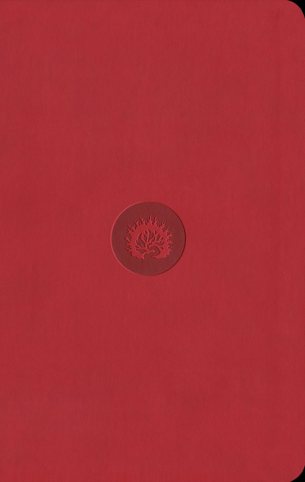 Cover Art for 9781642893496, ESV Reformation Study Bible, Student Edition - Red, Leather-Like by R. C. Sproul