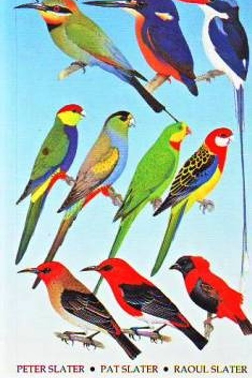 Cover Art for 9780947116996, Slater Field Guide to Australian Birds by Peter Slater