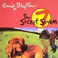 Cover Art for 9780340893173, SECRET SEVEN: 11: SECRET SEVEN FIREWORKS by Enid Blyton