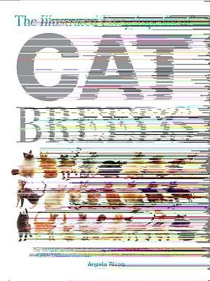 Cover Art for 9780785803645, The Illustrated Encyclopedia of Cat Breeds by Angela Rixon