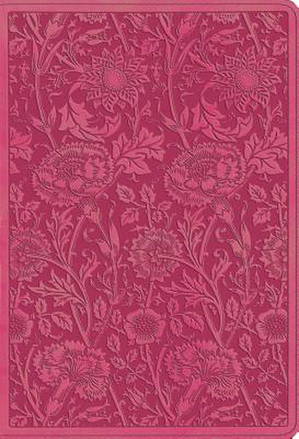 Cover Art for 9781433566974, ESV Student Study Bible by Esv Bibles