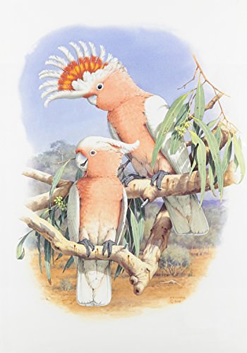Cover Art for 9780958121200, Australian Parrots by Joseph M. Forshaw
