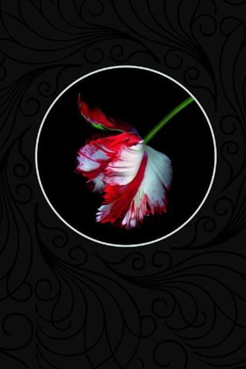 Cover Art for 9789022553510, Nieuwe maan / druk 1: luxe editie by Stephenie Meyer