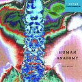 Cover Art for 9780805347883, Human Anatomy by Elaine N. Marieb, Jon B. Mallatt, Patricia Brady Wilhelm