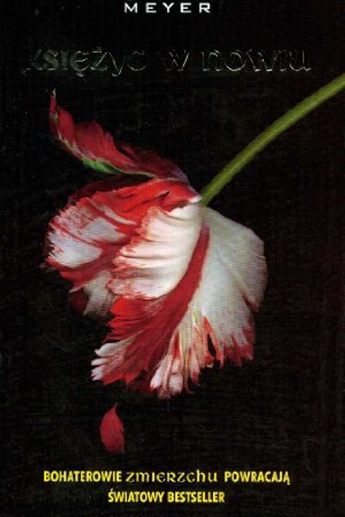 Cover Art for 9788324585397, Księżyc w nowiu by Stephenie Meyer