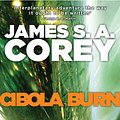 Cover Art for 9780356504186, Cibola Burn: Book 4 of the Expanse (now a Prime Original series) by James S. A. Corey