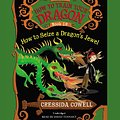 Cover Art for 9781478928577, How to Train Your Dragon by Cressida Cowell