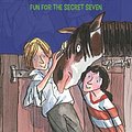 Cover Art for 9781844569496, Secret Seven: Fun For The Secret Seven: Book 15 by Enid Blyton