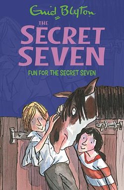 Cover Art for 9781844569496, Secret Seven: Fun For The Secret Seven: Book 15 by Enid Blyton