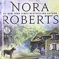 Cover Art for 9780606358675, Blood Magick (Cousins O'Dwyer Trilogy) by Nora Roberts