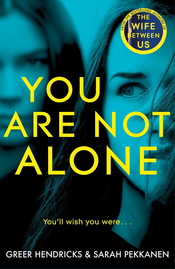 Cover Art for 9781529010763, You Are Not Alone by Sarah Pekkanen