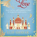 Cover Art for 9780670918737, The Forty Rules of Love by Elif Shafak