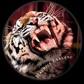 Cover Art for 9781511683807, Les dents du tigre by Maurice LeBlanc