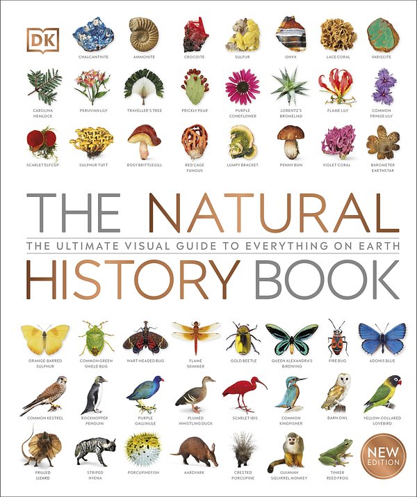 Cover Art for 9780241393345, The Natural History Book by DK