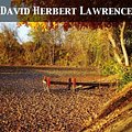 Cover Art for 9782819924005, Sons and Lovers by David Herbert Lawrence