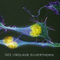 Cover Art for 9780805368499, Human Physiology by Dee Unglaub Silverthorn