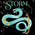 Cover Art for 9780805094602, Siege and Storm by Leigh Bardugo