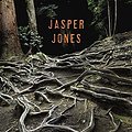 Cover Art for 9780375866661, Jasper Jones by Craig Silvey