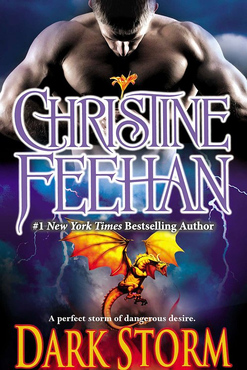 Cover Art for 9780515151565, Dark Storm by Christine Feehan