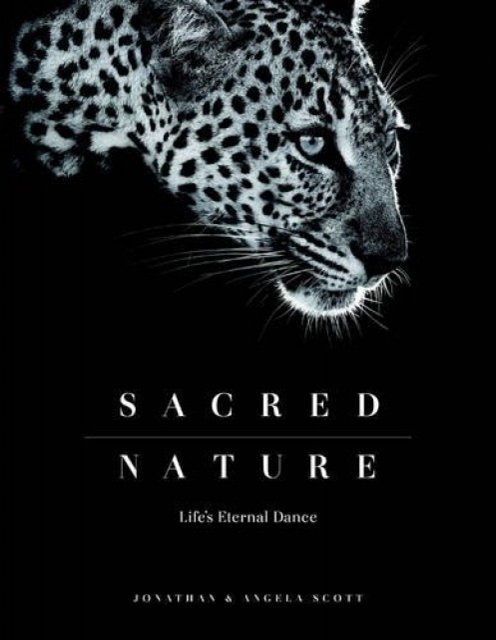 Cover Art for 9780994692405, Sacred Nature: Life's Eternal Dance by Angela Scott