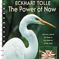 Cover Art for 9781602377783, The Power of Now by Eckhart Tolle