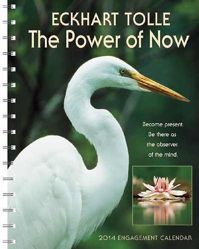 Cover Art for 9781602377783, The Power of Now by Eckhart Tolle