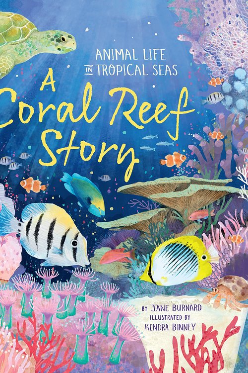 Cover Art for 9781035047765, A Coral Reef Story by Jane Burnard