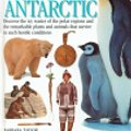 Cover Art for 9780789458506, DK Eyewitness Books: Arctic and Antarctic by Barbara Taylor