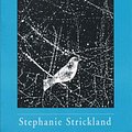 Cover Art for 9780268018993, True North by Stephanie Strickland