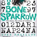 Cover Art for 9781510101548, The Bone Sparrow by Zana Fraillon