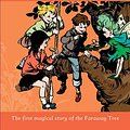 Cover Art for 9780603569111, Enid Blyton The Enchanted Wood by Enid Blyton