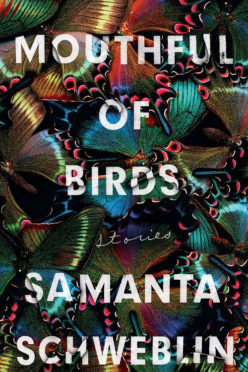 Cover Art for 9781786074560, Mouthful of Birds by Samanta Schweblin