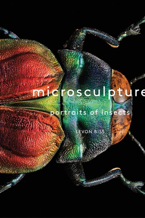 Cover Art for 9781419726958, Microsculpture: Portraits of Insects by Levon Biss