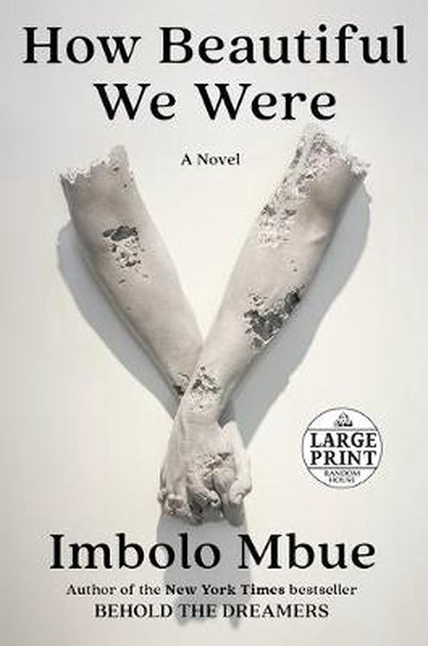 Cover Art for 9780593213308, How Beautiful We Were by Imbolo Mbue