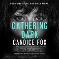 Cover Art for 9781250789754, Gathering Dark by Candice Fox