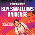 Cover Art for B09KSVR9TC, Boy Swallows Universe Playscript by Trent Dalton, Tim McGarry