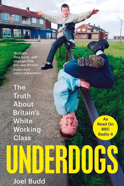 Cover Art for 9781761772320, Underdogs by Joel Budd